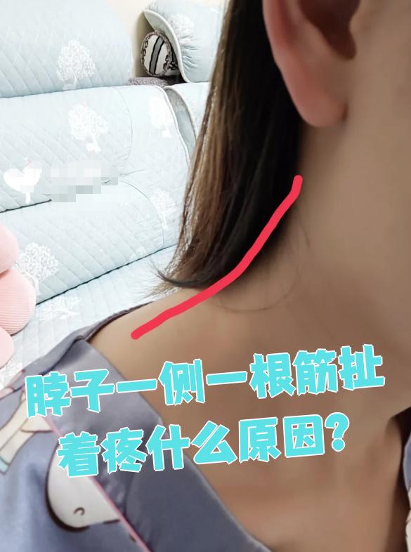 左侧脖子的筋疼痛是什么原因